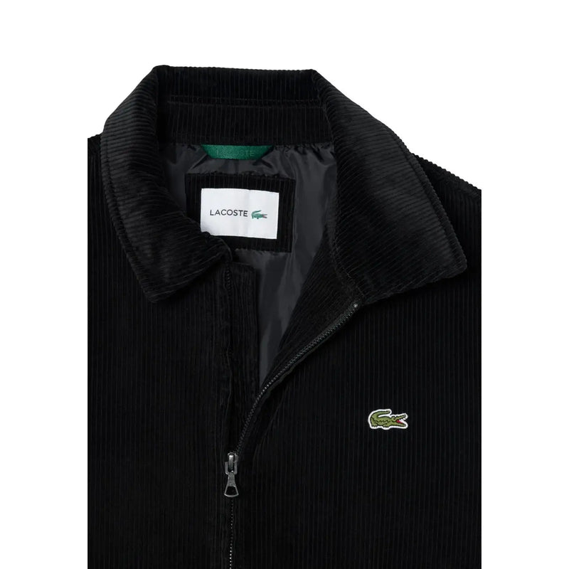 Schwarzer Lacoste Herren-Baumwollblazer aus Cord mit grünem Krokodil-Logo auf der Brust und passendem Kragen