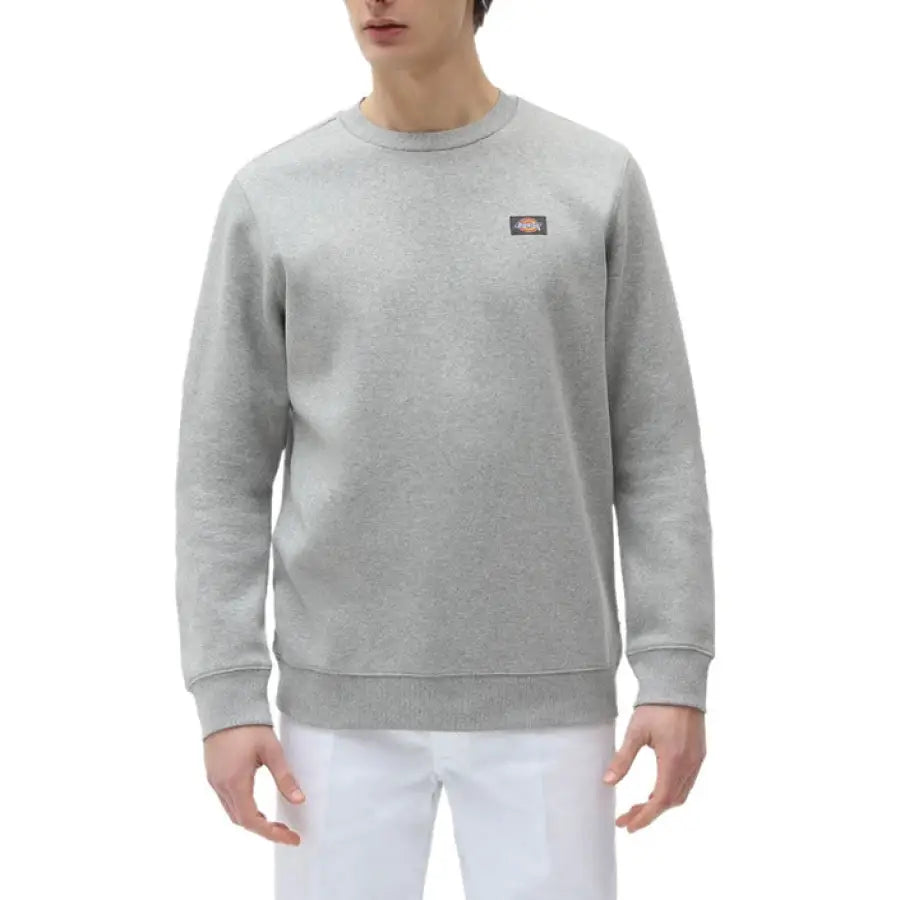 Dickies - Men Sweatshirts - grey / XS - Clothing