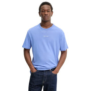 Hellblaues Tommy Hilfiger Jeans Herren-T-Shirt mit kleinem weißen Logo auf der Brust, aus Baumwolle, mit Rundhalsausschnitt